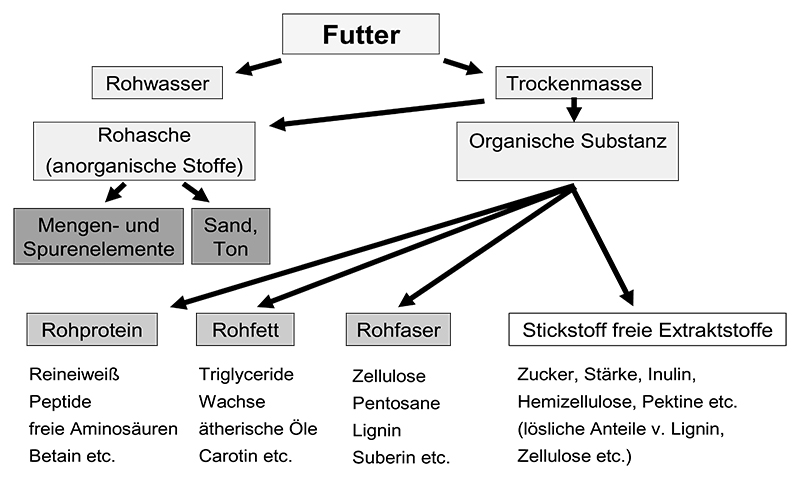 Analytische Bestandteile gemäß Weender Analyse